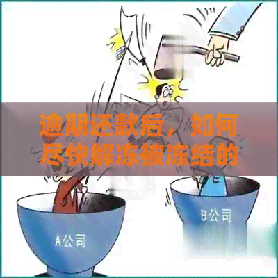 逾期还款后，如何尽快解冻被冻结的信用卡？
