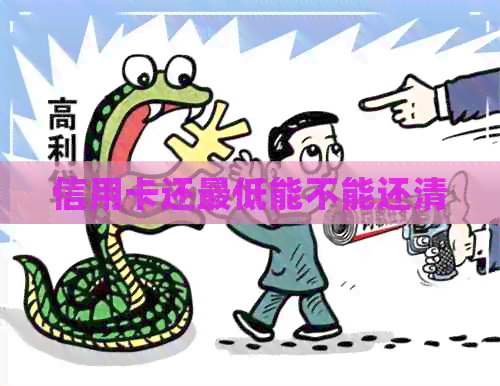 信用卡还更低能不能还清