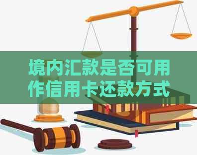 境内汇款是否可用作信用卡还款方式的探讨