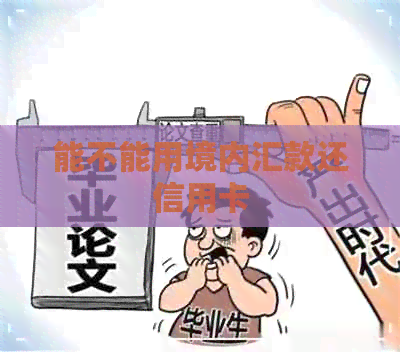 能不能用境内汇款还信用卡