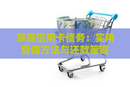 掌握信用卡债务：实用查询方法与还款策略