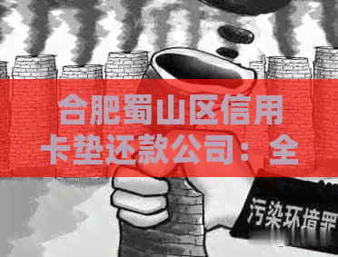 合肥蜀山区信用卡垫还款公司：全方位解决信用卡还款难题