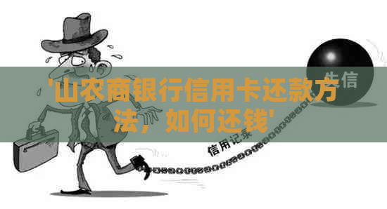 '山农商银行信用卡还款方法,如何还钱'