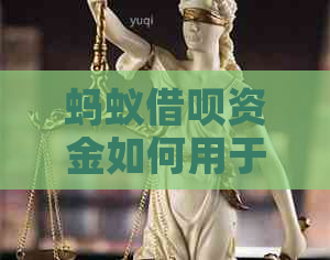 蚂蚁网贷资金如何用于还款信用卡？逾期还款会产生什么影响？