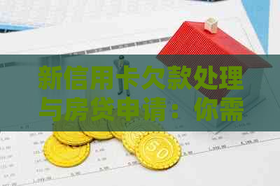 新信用卡欠款处理与房贷申请：你需要知道的一切
