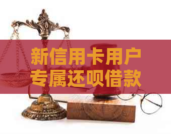 新信用卡用户专属还款借款，非持卡用户也可申请！