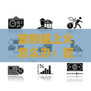 宠物猫上火怎么办：症状、解决措及推荐