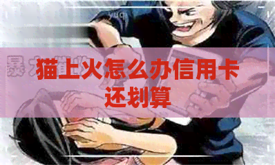 猫上火怎么办信用卡还划算