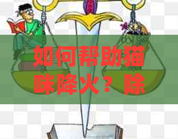 如何帮助猫咪降火？除了蘑菇还有其他食物吗？当猫咪上火时应该吃什么药？