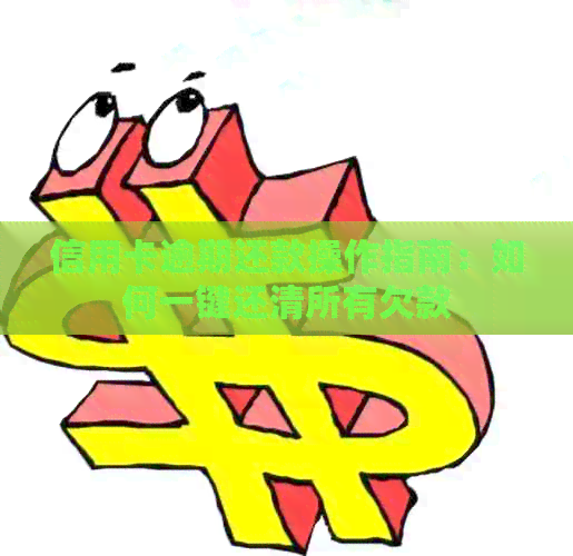 信用卡逾期还款操作指南：如何一键还清所有欠款