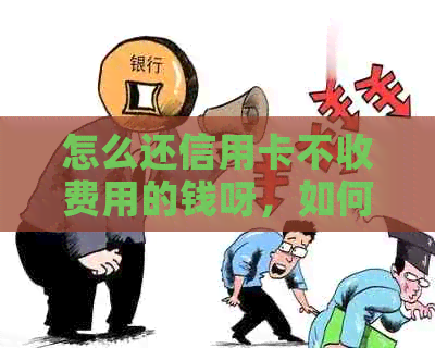 怎么还信用卡不收费用的钱呀，如何免费还款信用卡，避免手续费，无额外费用