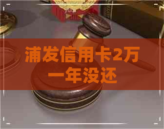 浦发信用卡2万一年没还