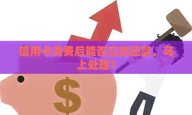 信用卡消费后能否立刻还款,马上处理? 信用卡消费后能否立刻还款,马上处理?