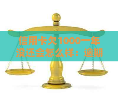 信用卡欠1000一年没还会怎么样：逾期一年后果与利息计算