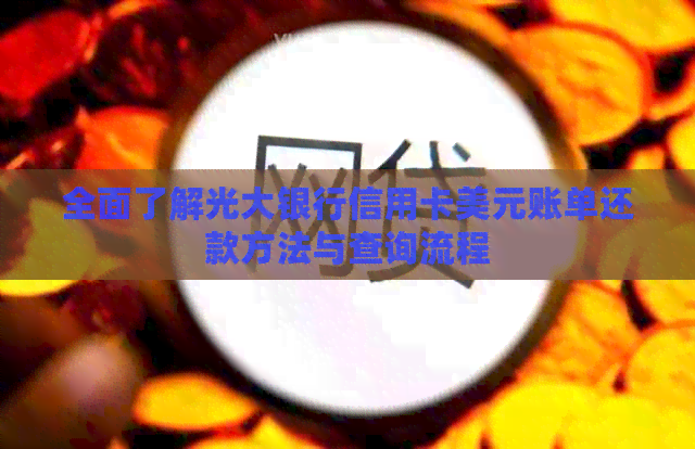 全面了解光大银行信用卡美元账单还款方法与查询流程