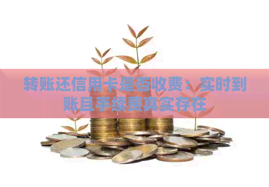 转账还信用卡是否收费：实时到账且手续费真实存在