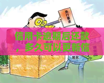 信用卡逾期后还款，多久可以更新信用记录并恢复？