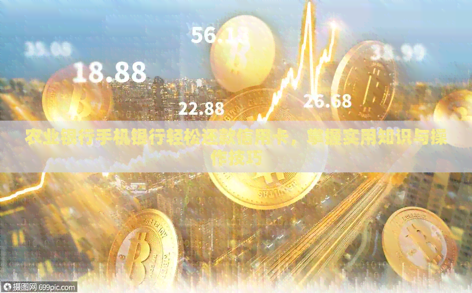农业银行手机银行轻松还款信用卡，掌握实用知识与操作技巧