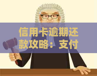 信用卡逾期还款攻略：支付宝账户冻结后的解冻与还款操作指南
