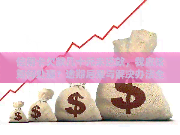 信用卡欠款几十元未还款，我应该如何处理？逾期后果与解决办法全面解析