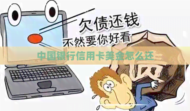 中国银行信用卡美金怎么还