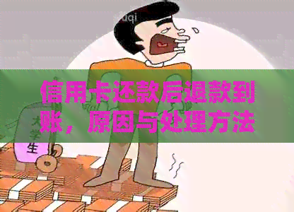 信用卡还款后退款到账，原因与处理方法全面解析