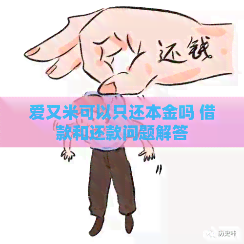 爱又米可以只还本金吗 借款和还款问题解答