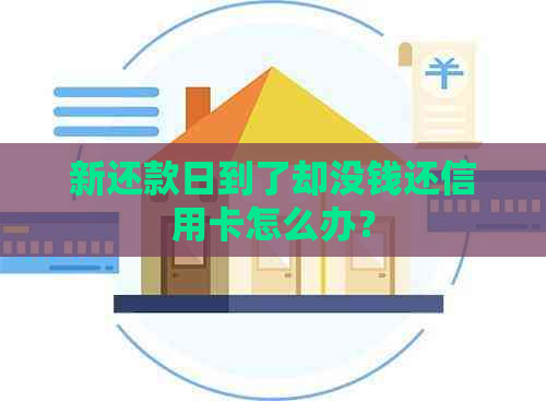 新还款日到了却没钱还信用卡怎么办？