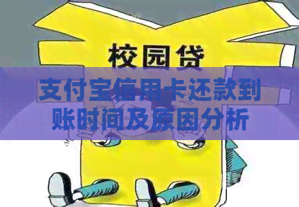 支付宝信用卡还款到账时间及原因分析