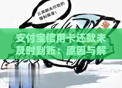 支付宝信用卡还款未及时到账：原因与解决办法