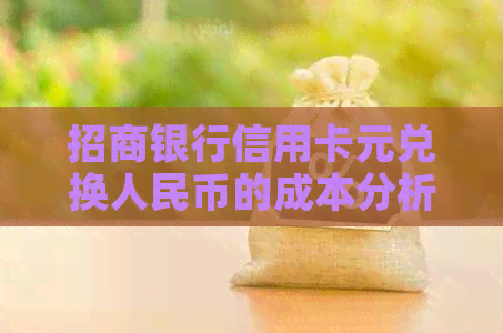 招商银行信用卡元兑换人民币的成本分析