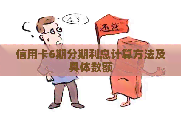 信用卡6期分期利息计算方法及具体数额