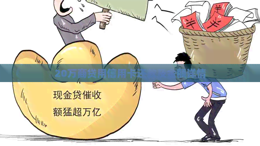 20万商贷用信用卡还款及金额详情