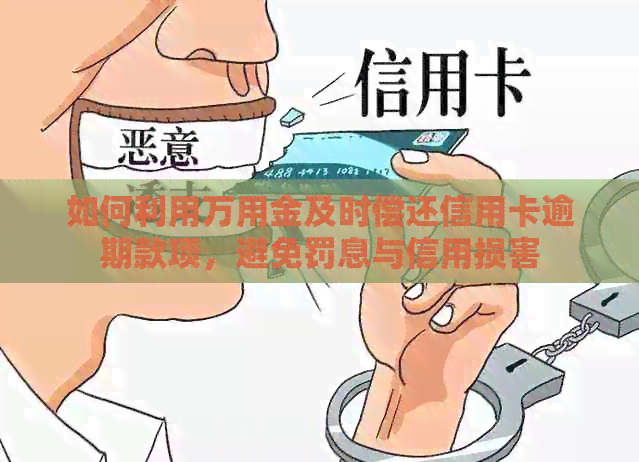 如何利用万用金及时偿还信用卡逾期款项，避免罚息与信用损害