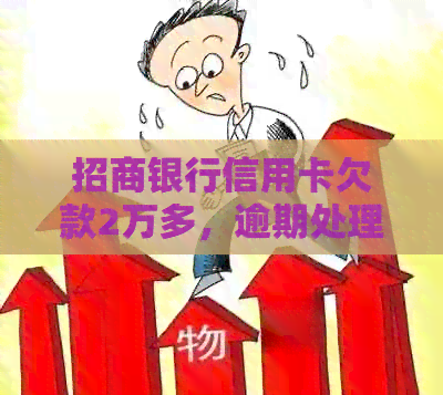 招商银行信用卡欠款2万多，逾期处理及还款技巧全面解析