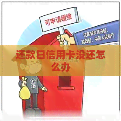 还款日信用卡没还怎么办