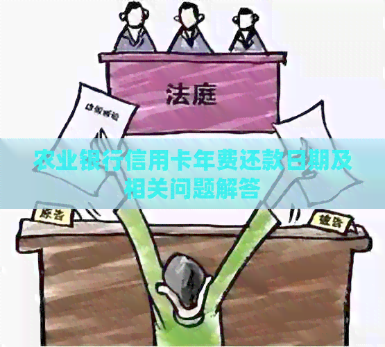 农业银行信用卡年费还款日期及相关问题解答
