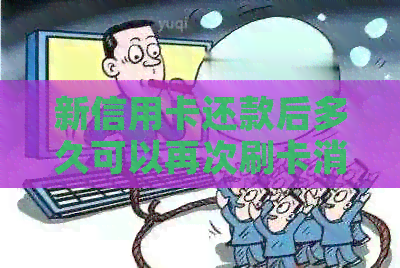 新信用卡还款后多久可以再次刷卡消费？