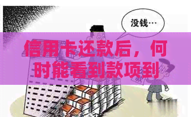 信用卡还款后，何时能看到款项到账？