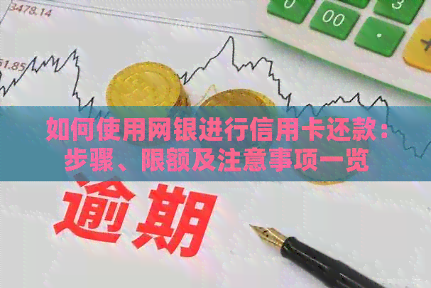 如何使用网银进行信用卡还款：步骤、限额及注意事项一览