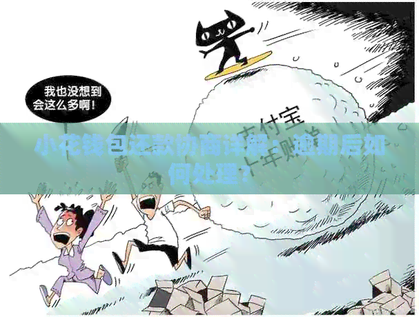 小花钱包还款协商详解：逾期后如何处理？