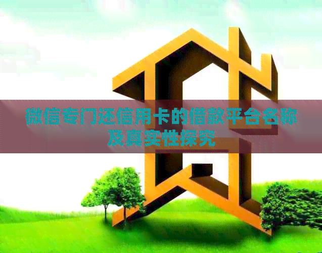 微信专门还信用卡的借款平台名称及真实性探究