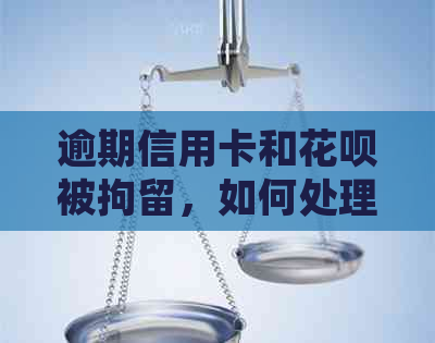 逾期信用卡和信用卡被拘留，如何处理？最新资讯解析