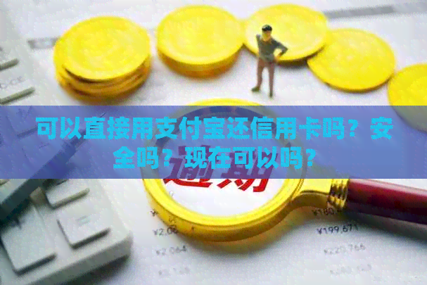 可以直接用支付宝还信用卡吗？安全吗？现在可以吗？