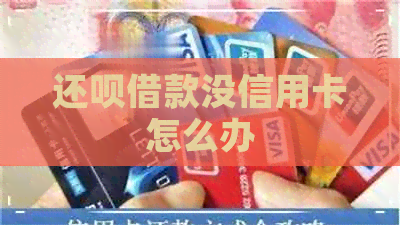 还款借款没信用卡怎么办