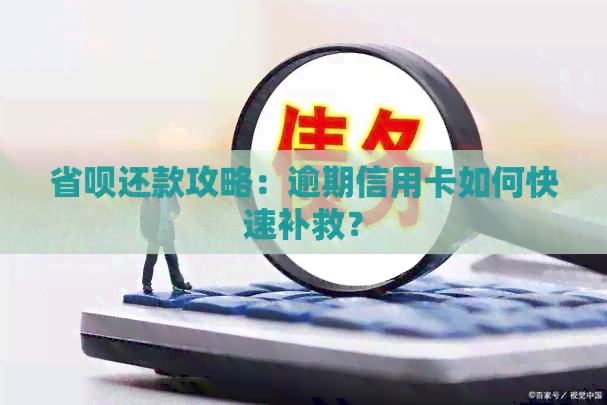 省呗还款攻略：逾期信用卡如何快速补救？