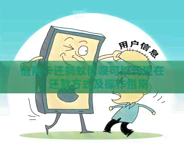 信用卡还蚂蚁网贷可以吗现在：还款方式及操作指南
