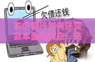 农信银行如何还贷款本金与利息：完整指南