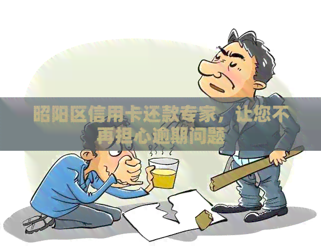 昭阳区信用卡还款专家，让您不再担心逾期问题