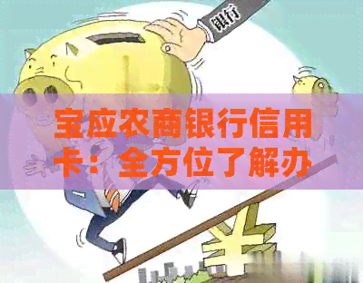 宝应农商银行信用卡：全方位了解办理、使用、优等全攻略